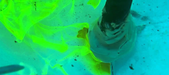 colorant d’eau