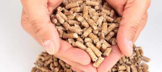 granulés de bois