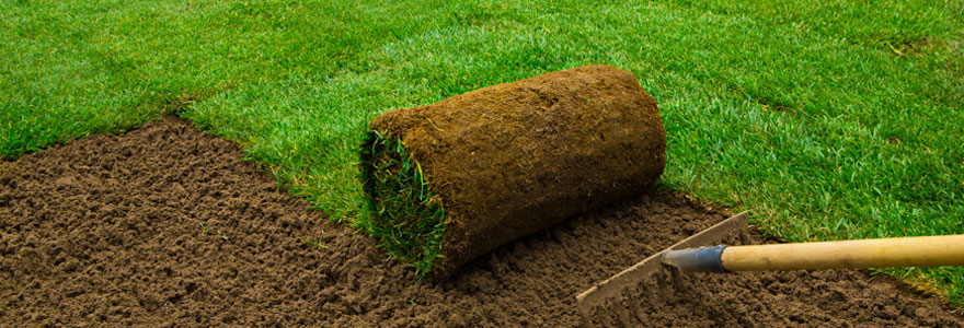 Acheter du gazon naturel en rouleaux