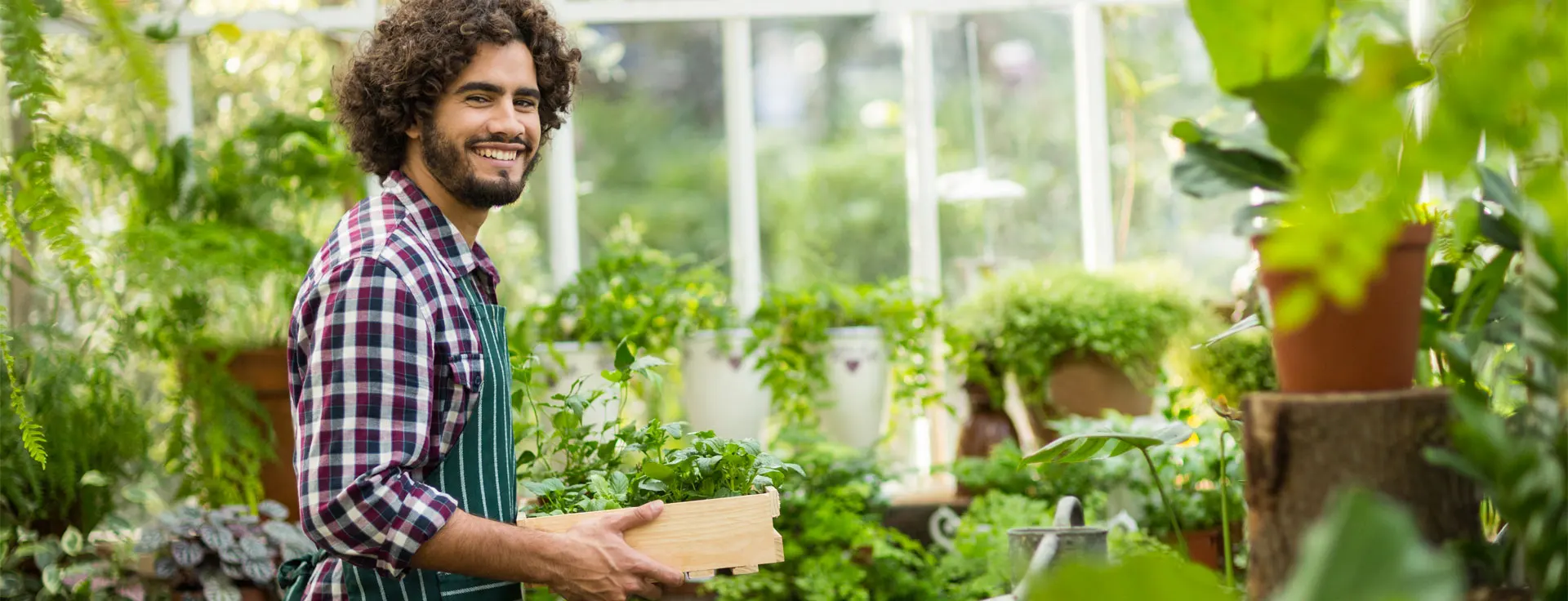 PLANTER, ENTRETENIR ET DECORER SON JARDIN